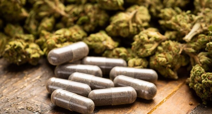 Landmark Study: Marijuana No Better than Placebo at Reducing Pain