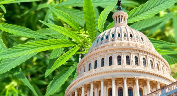 Rep. Edwards to Continue Fight Against Marijuana in New Congress with ‘Stop Pot Act’